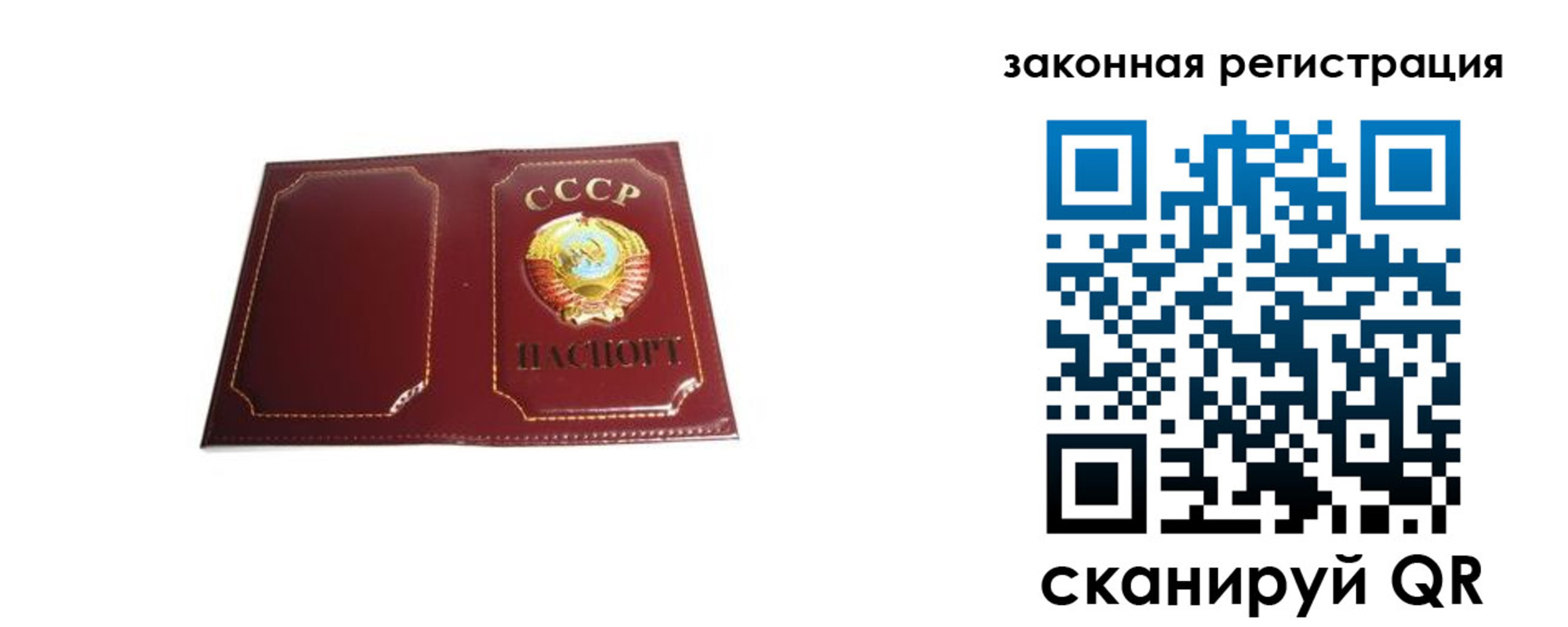 прописка поиск в Раменском